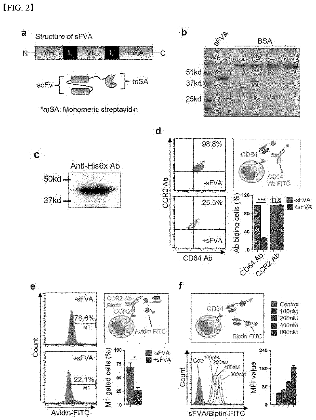 Dual-targeting lipid-polymer hybrid nanoparticles