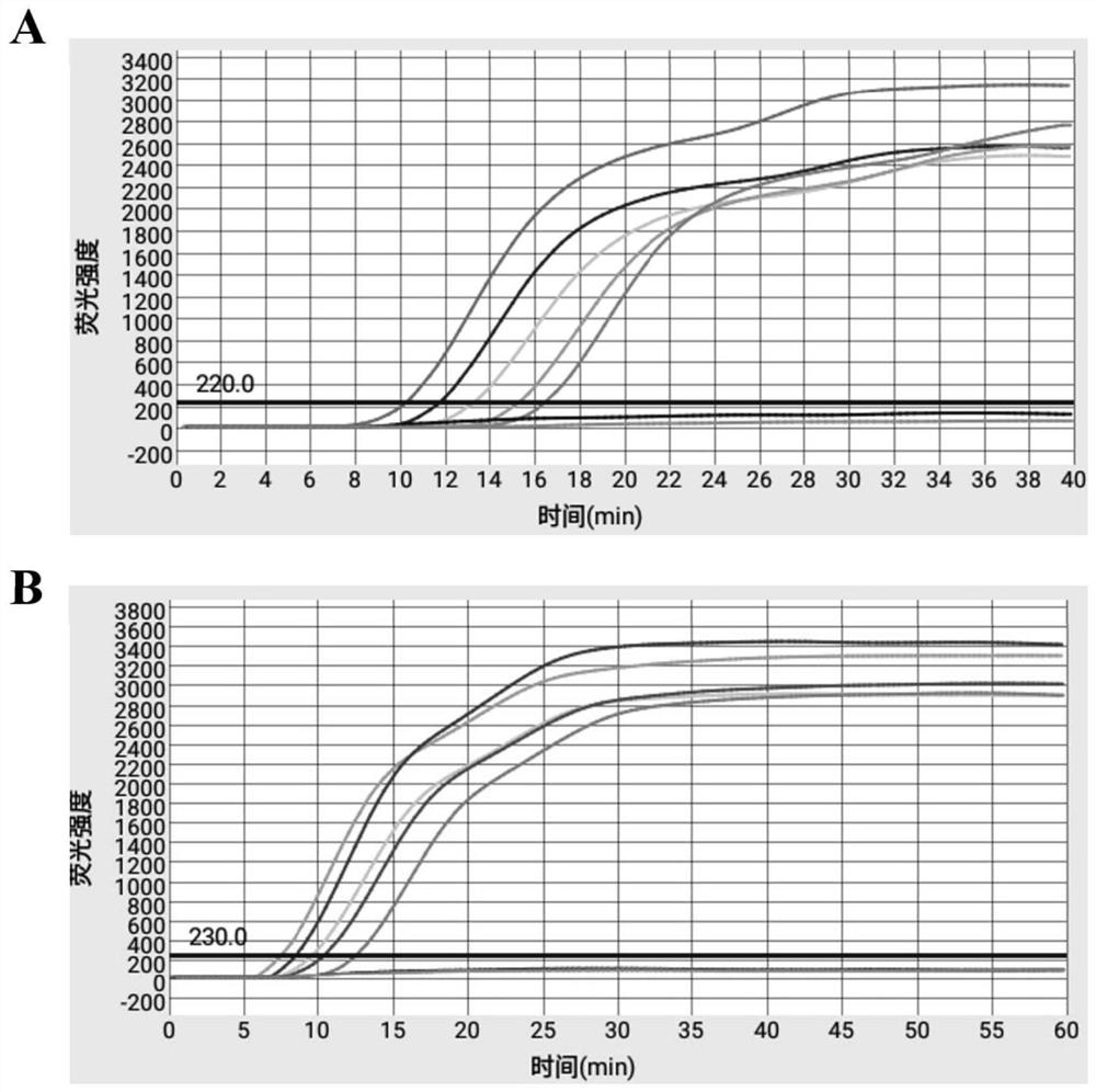 Primer and kit for efficient duplex detection of rabbit plague and rabbit plague type-2