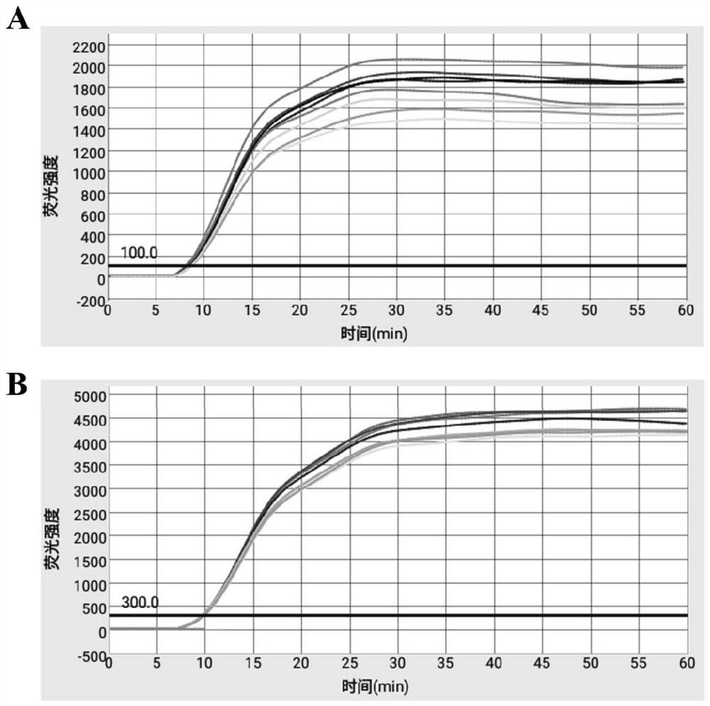 Primer and kit for efficient duplex detection of rabbit plague and rabbit plague type-2