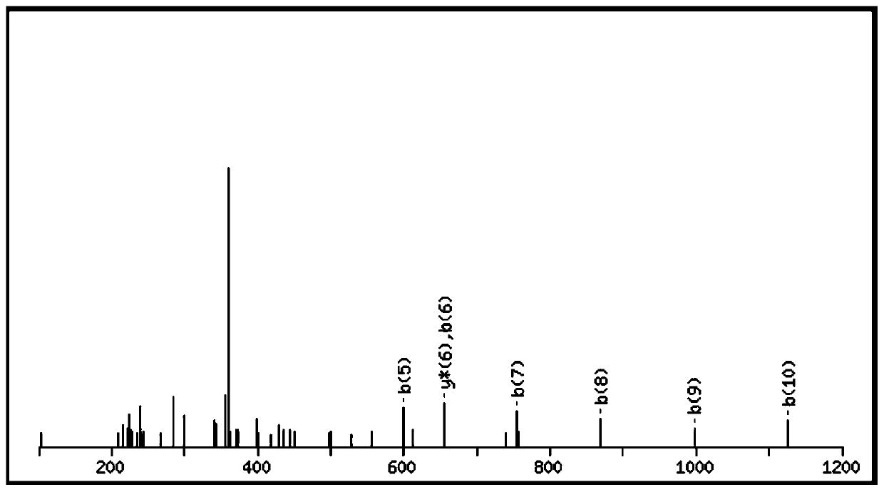 A kind of bioactive polypeptide kepmigvnqela and its preparation method and application