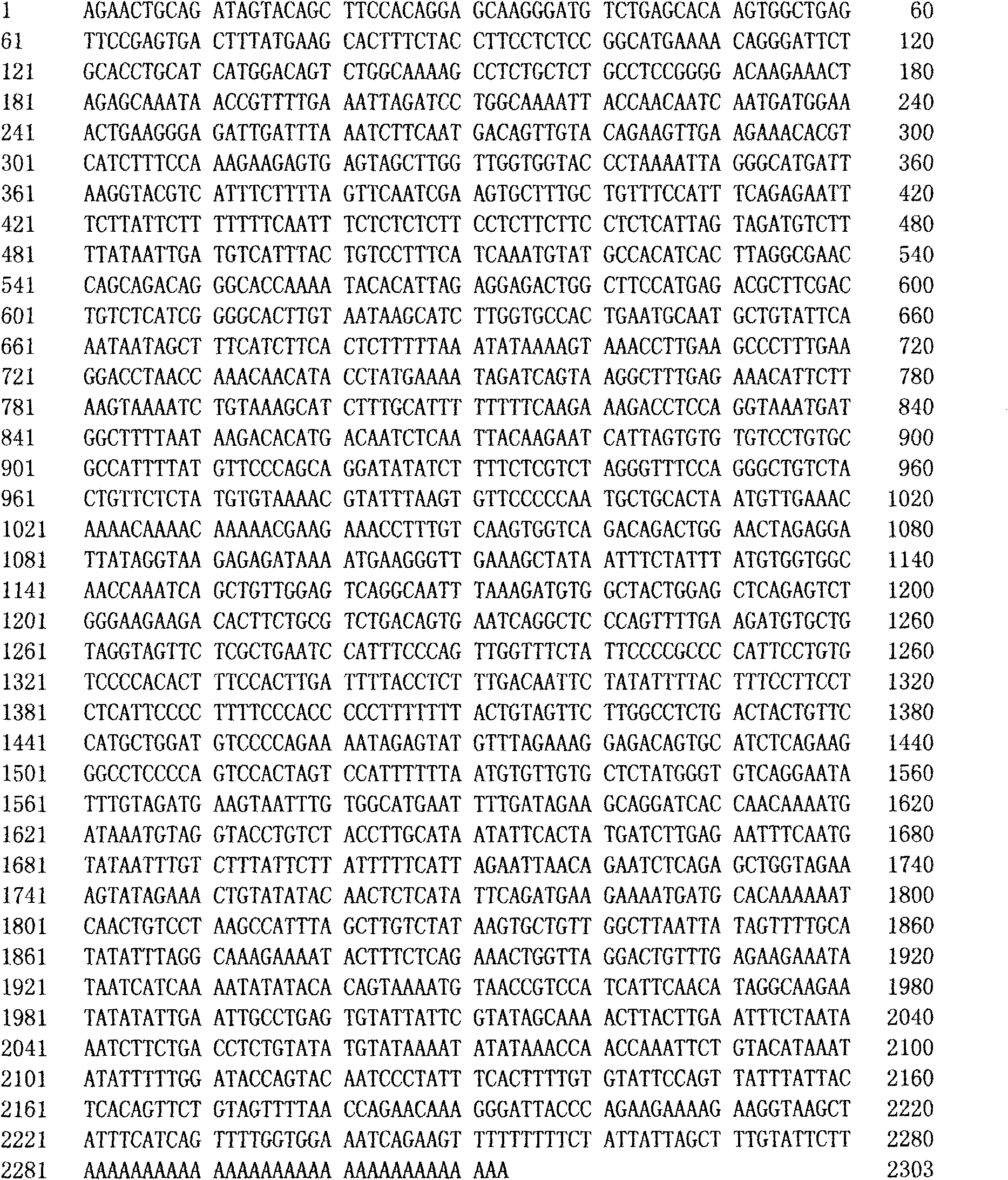 Development and applications of new human gene FAMLF in human gene recombination, malignant tumor gene detection and specific monoclonal antibody