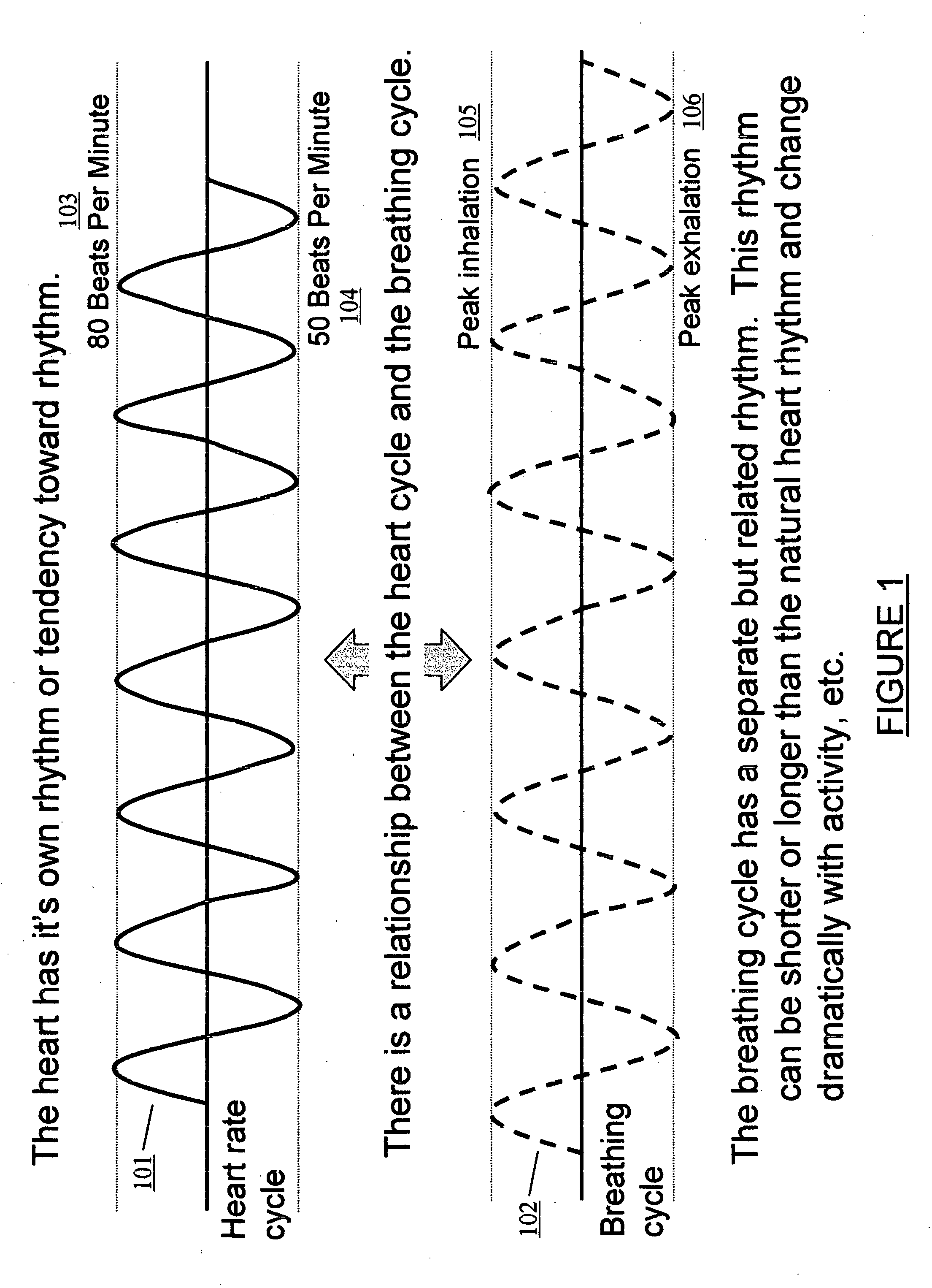 Method and system for achieving heart rate variability coherence during exercise