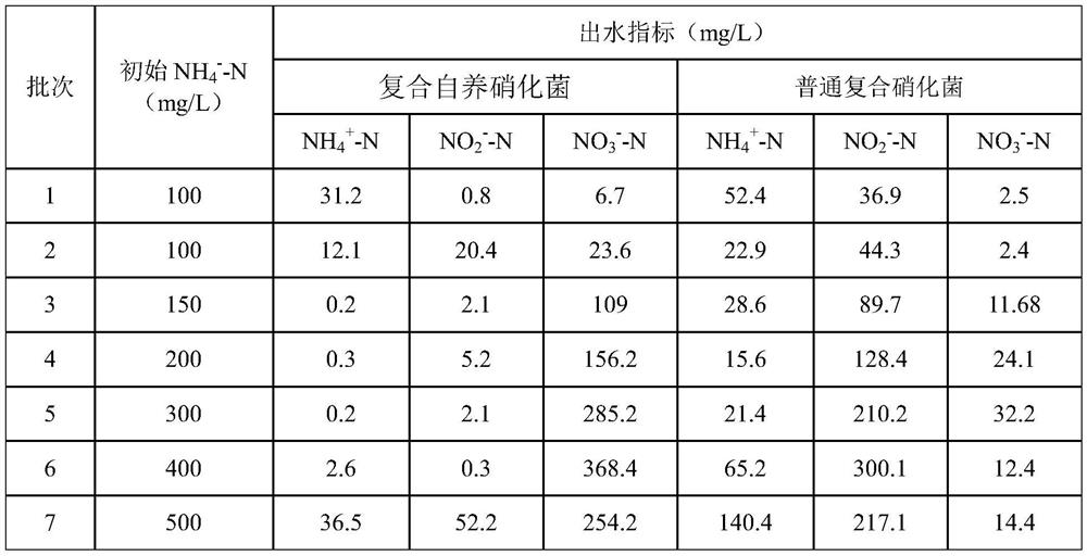 A kind of composite autotrophic nitrifying bacteria, preparation method of its solid bacterial agent and its application in the sewage treatment containing high salinity and high ammonia nitrogen