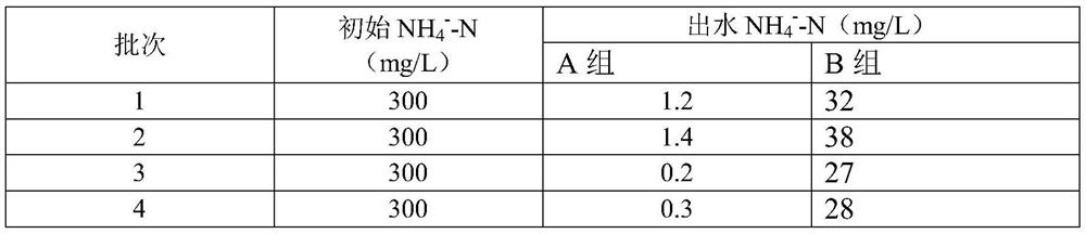 A kind of composite autotrophic nitrifying bacteria, preparation method of its solid bacterial agent and its application in the sewage treatment containing high salinity and high ammonia nitrogen