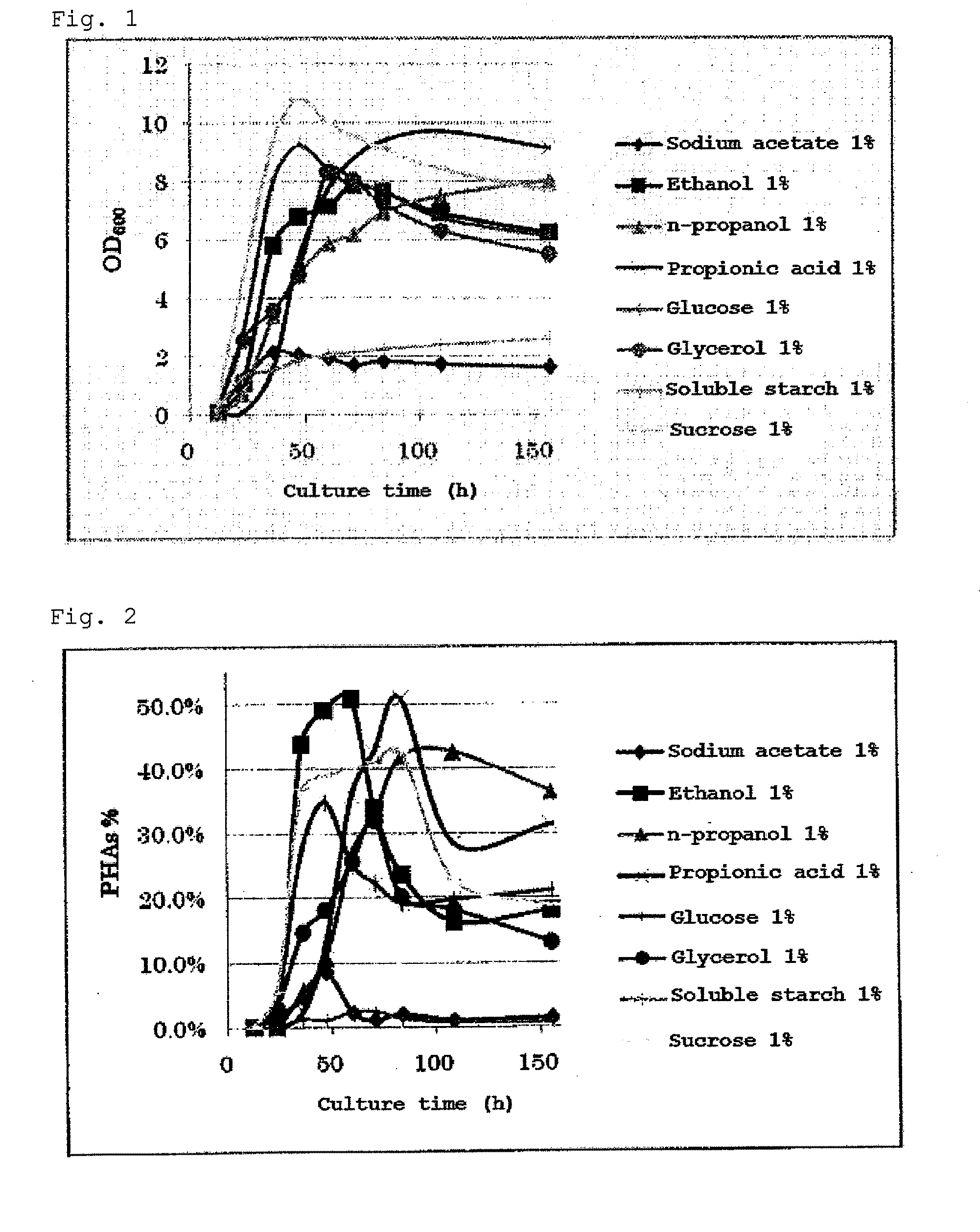 METHOD FOR PRODUCING POLYHYDROXYALKANOATE (PHAs) USING HALOBACTERIUM AND HALOBACTERIUM