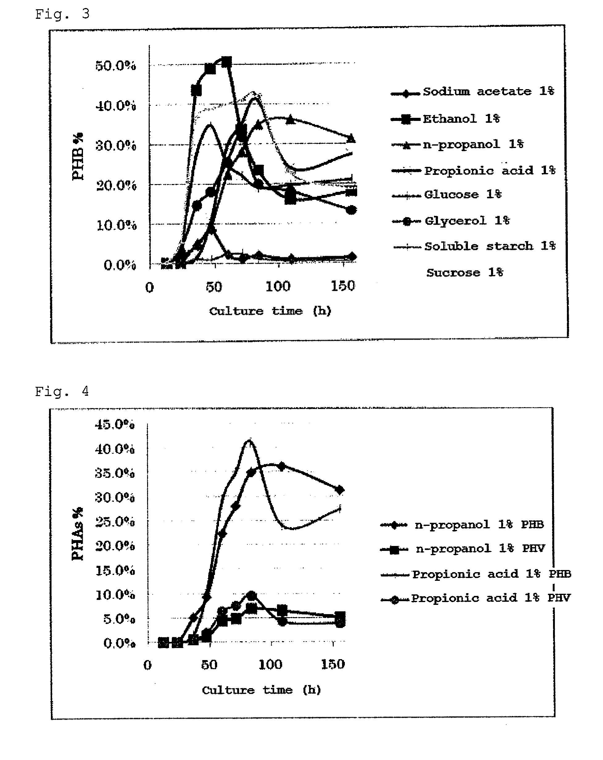 METHOD FOR PRODUCING POLYHYDROXYALKANOATE (PHAs) USING HALOBACTERIUM AND HALOBACTERIUM