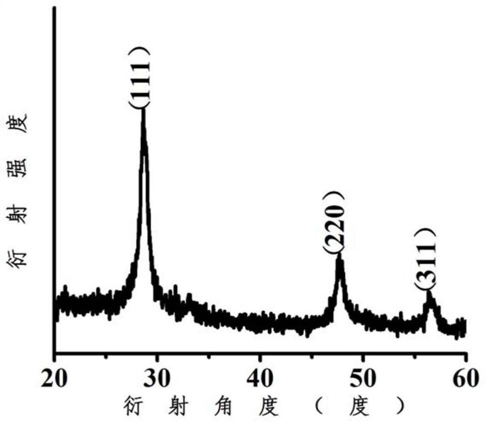 A kind of negative electrode material of lithium ion battery and preparation method thereof