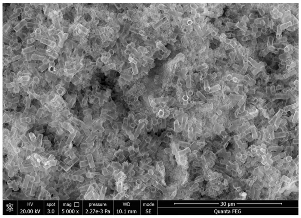 A kind of negative electrode material of lithium ion battery and preparation method thereof