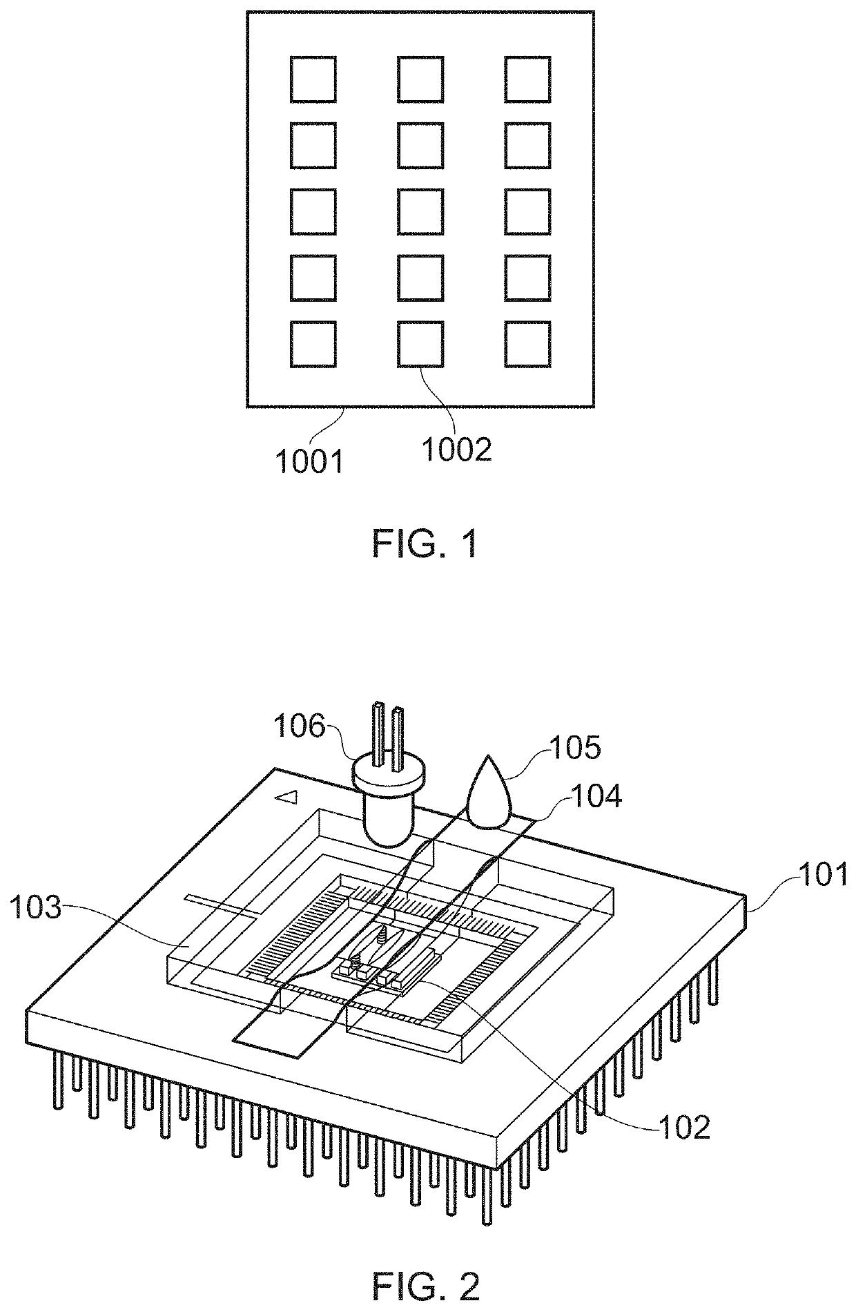 Metabolite detection apparatus and method of detecting metabolites