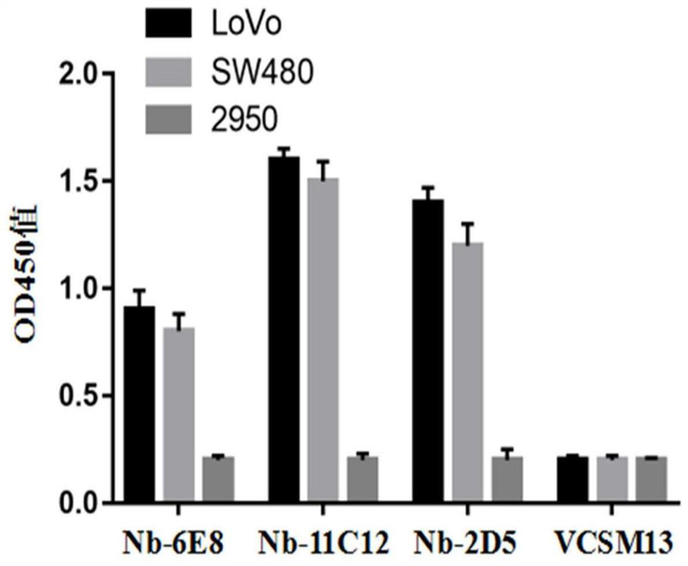 A fusion protein of nanobody and Pseudomonas aeruginosa exotoxin and its application