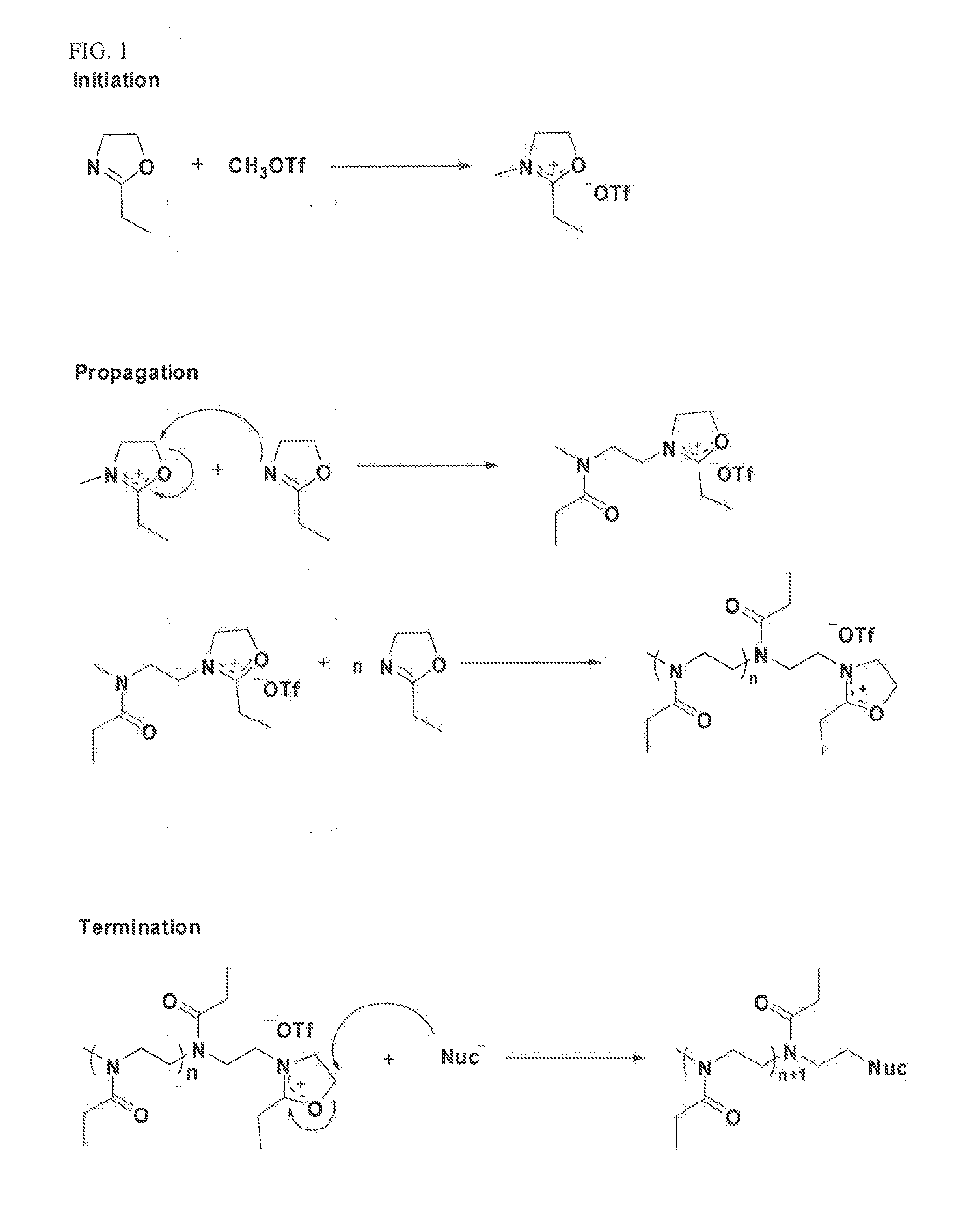 Activated Polyoxazolines and Conjugates and Compositions Comprising the Same