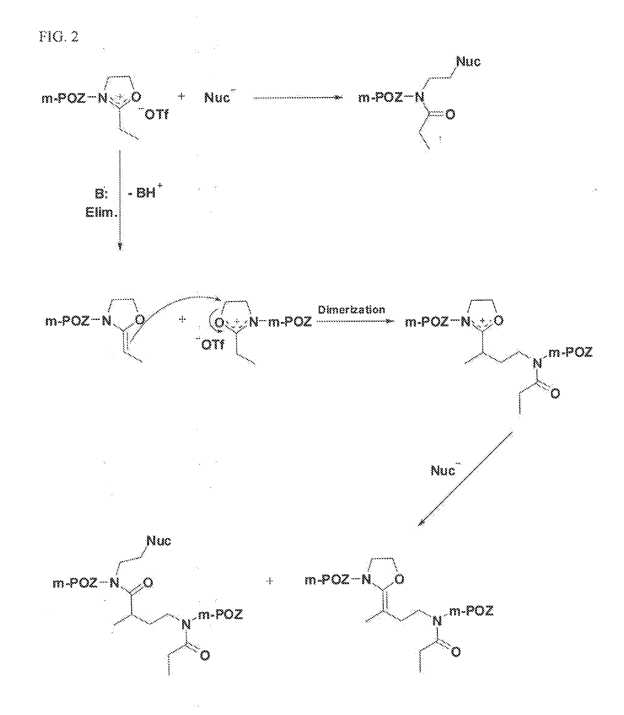 Activated Polyoxazolines and Conjugates and Compositions Comprising the Same
