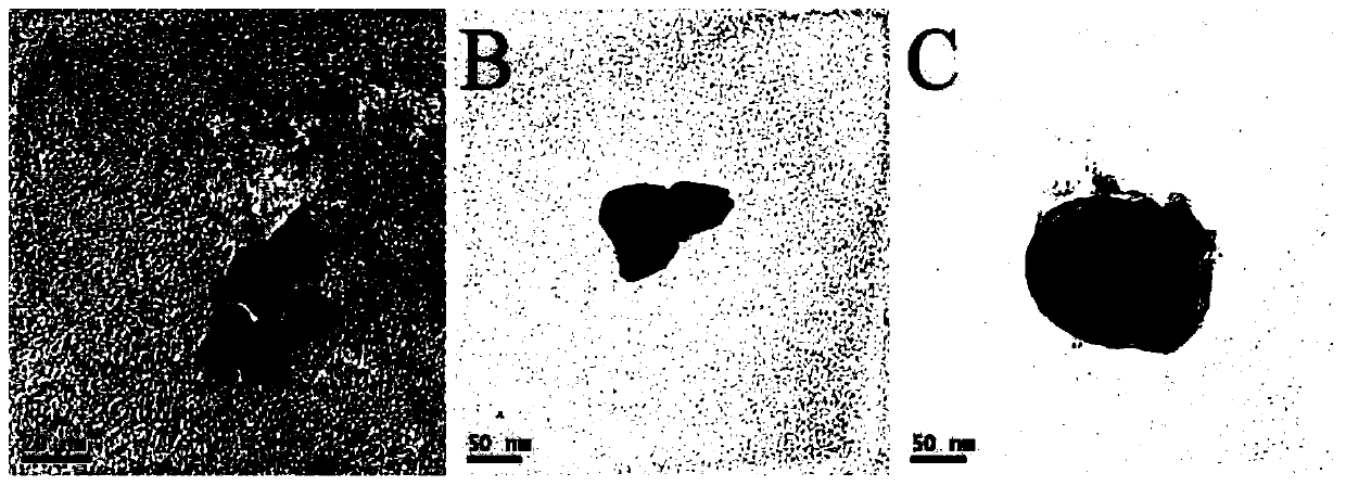 A kind of surface modified aramid fiber and preparation method thereof