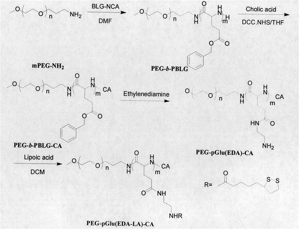 Synthesis method and use of cholic acid-modified polyamino acid block copolymer