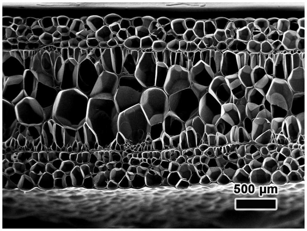 Polymer foam material and preparation method thereof