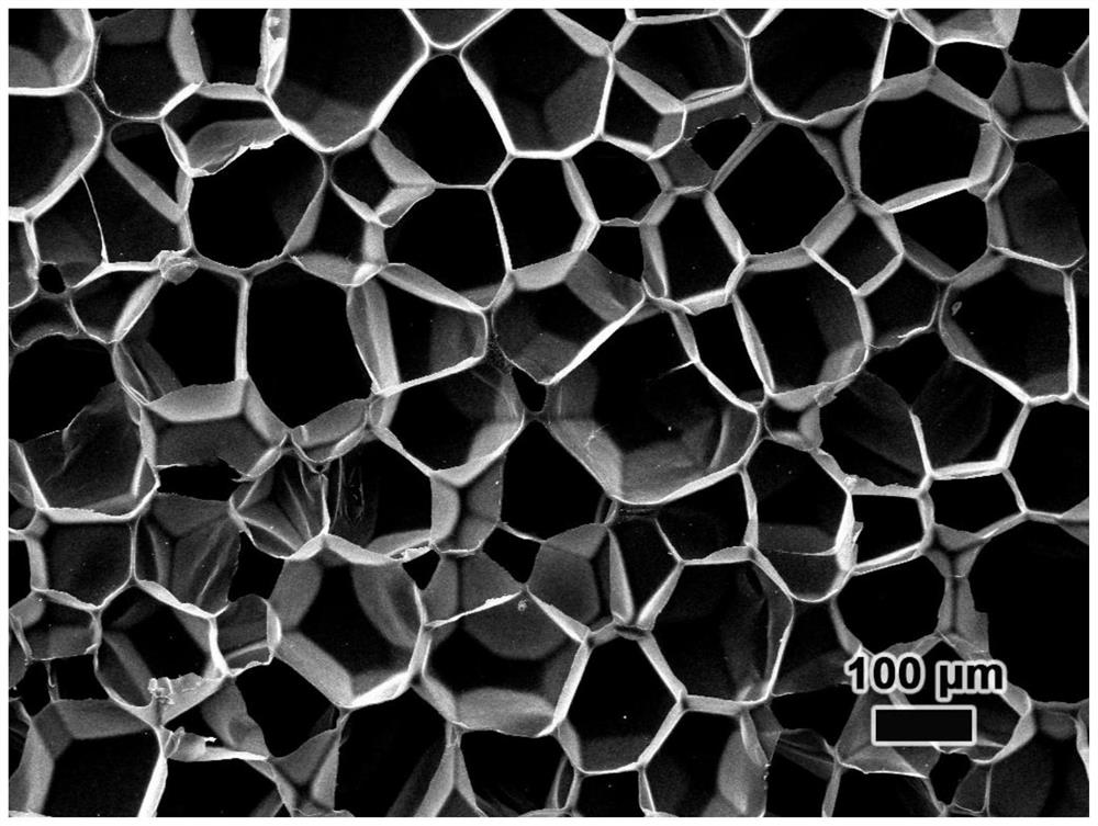 Polymer foam material and preparation method thereof