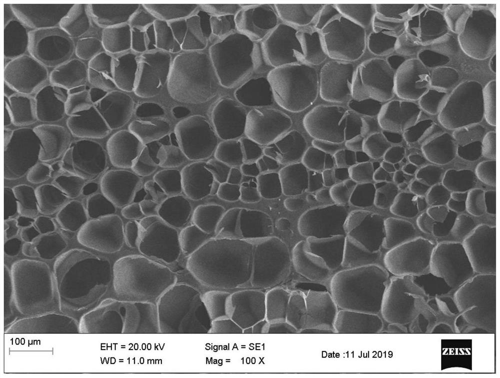 Polymer foam material and preparation method thereof