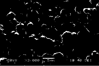 A high-temperature rate type lithium cobalt oxide positive electrode material and preparation method thereof