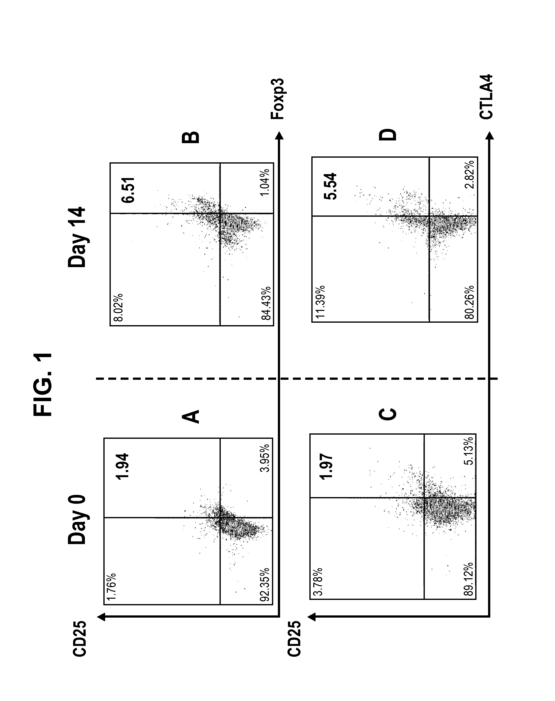 T regulatory cells and uses thereof
