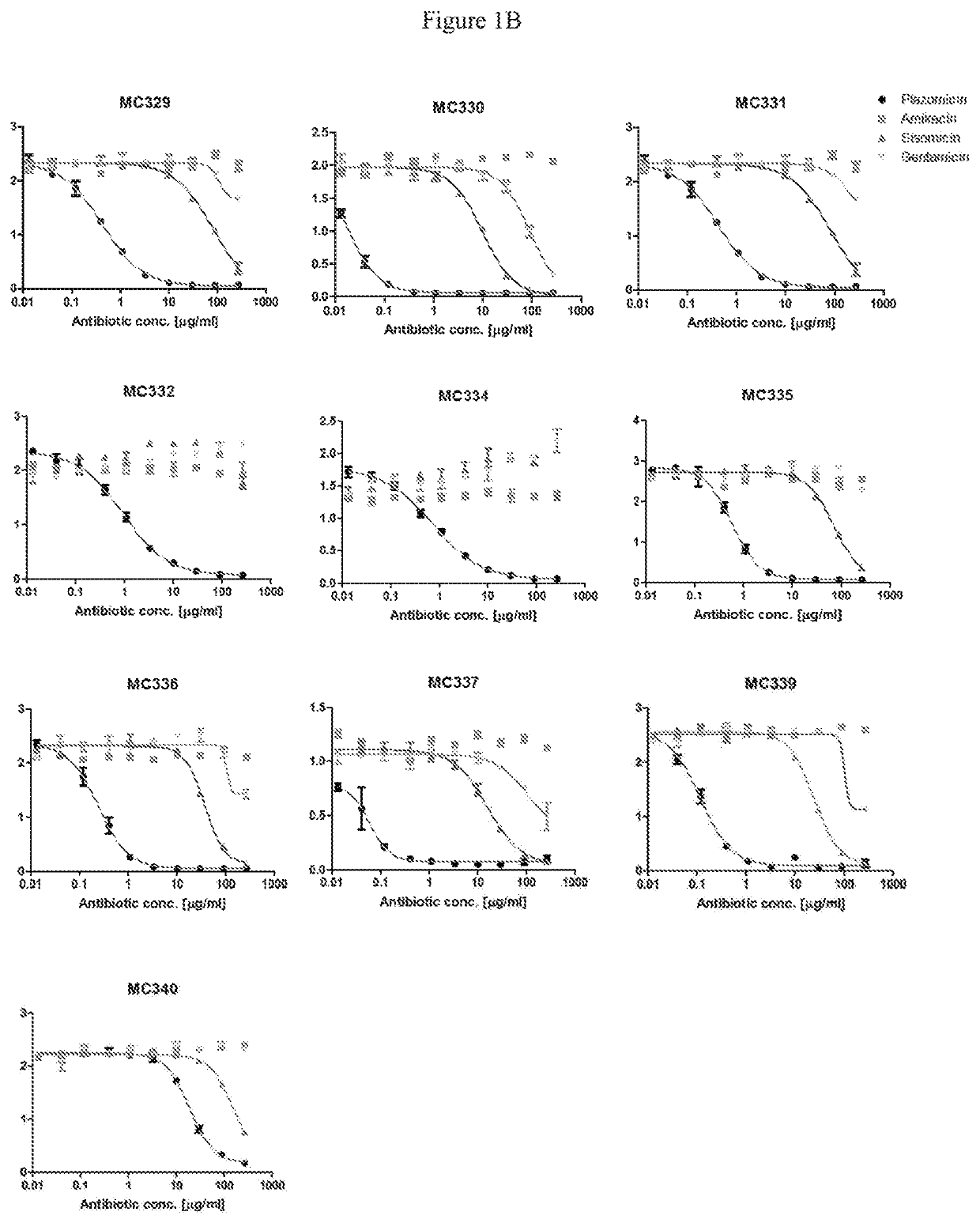 Plazomicin antibodies and methods of use