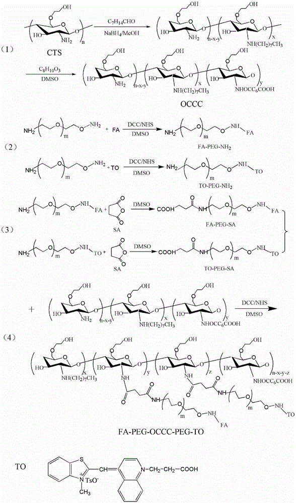 PH-sensitive chitosan drug-carrying micelle with targeting and fluorescent characteristics and preparation method thereof