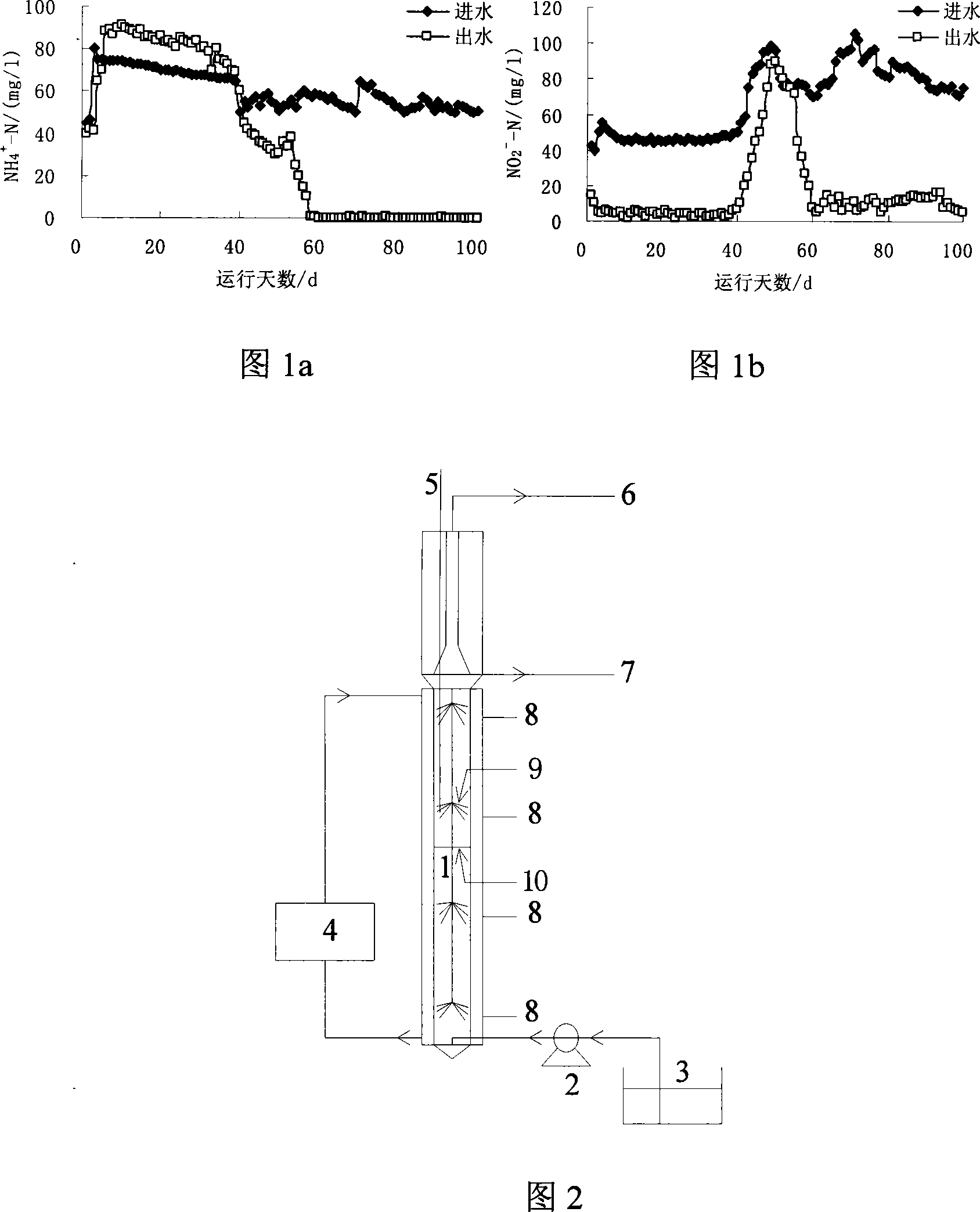 Method for rapidly culturing anaerobic ammonium oxidation bacteria by up-flow type anaerobic sludge bed reactor