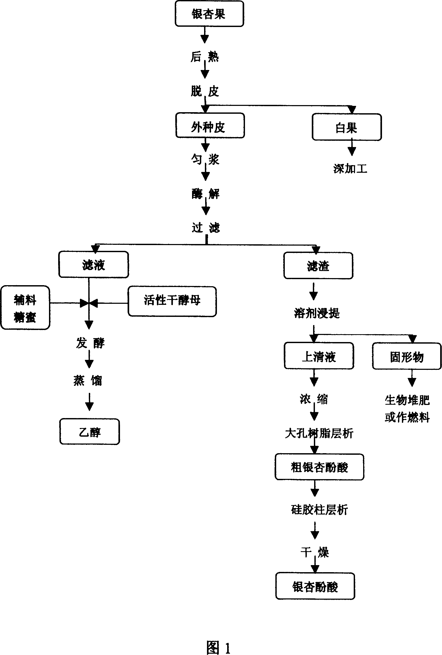 Comprehensive utilization process for gingko episperm