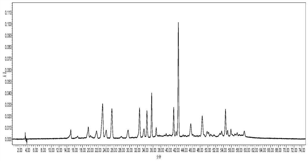 Establishment method of Dichondra repens fingerprint spectrum and Dichondra repens fingerprint spectrum
