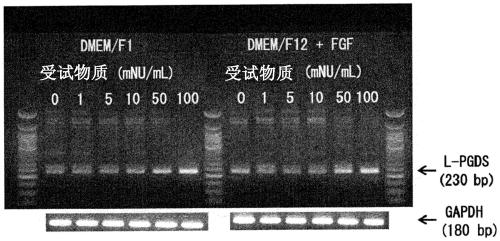 Lipocalin-type prostaglandin d2 synthase production accelerating agent