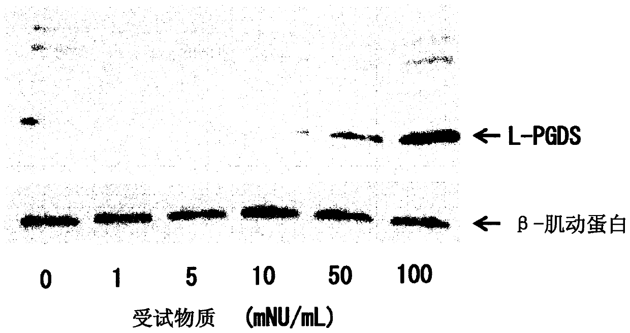 Lipocalin-type prostaglandin d2 synthase production accelerating agent