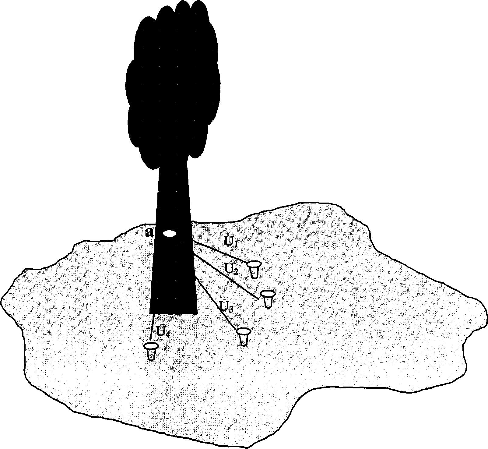 Forest environment energy collection method