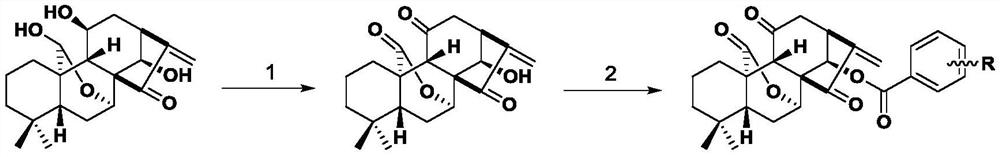 11,20-Dicarbonyl Jiyuan Rubescensin A 14-O-benzoate derivative and its preparation method and use