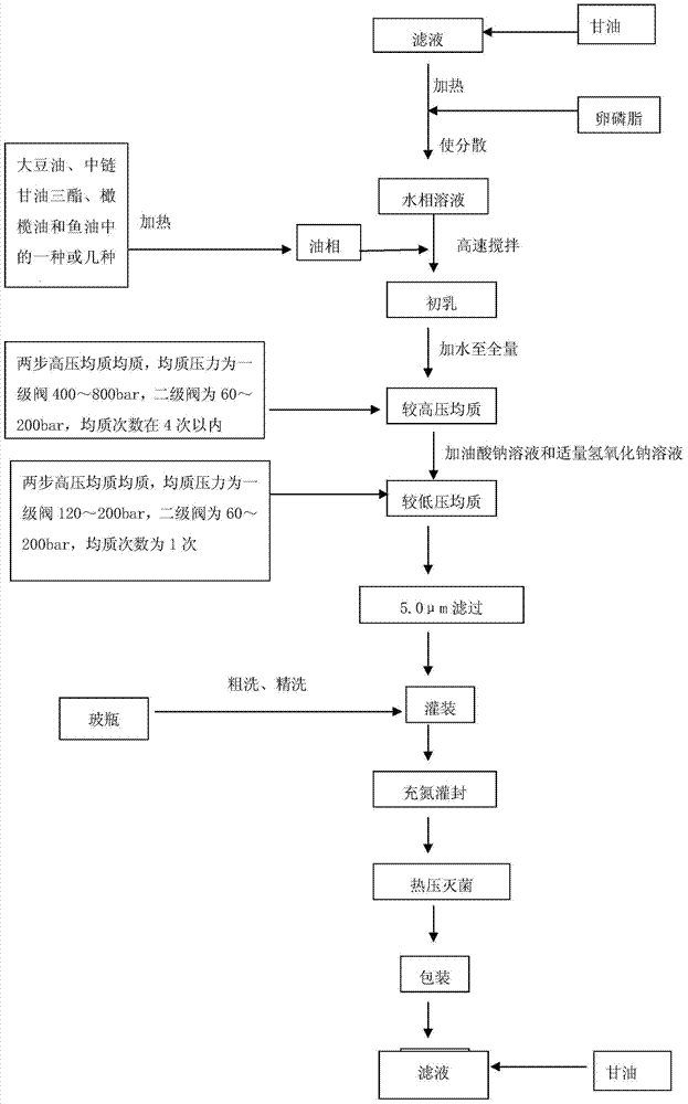 A kind of fat emulsion injection and preparation method thereof