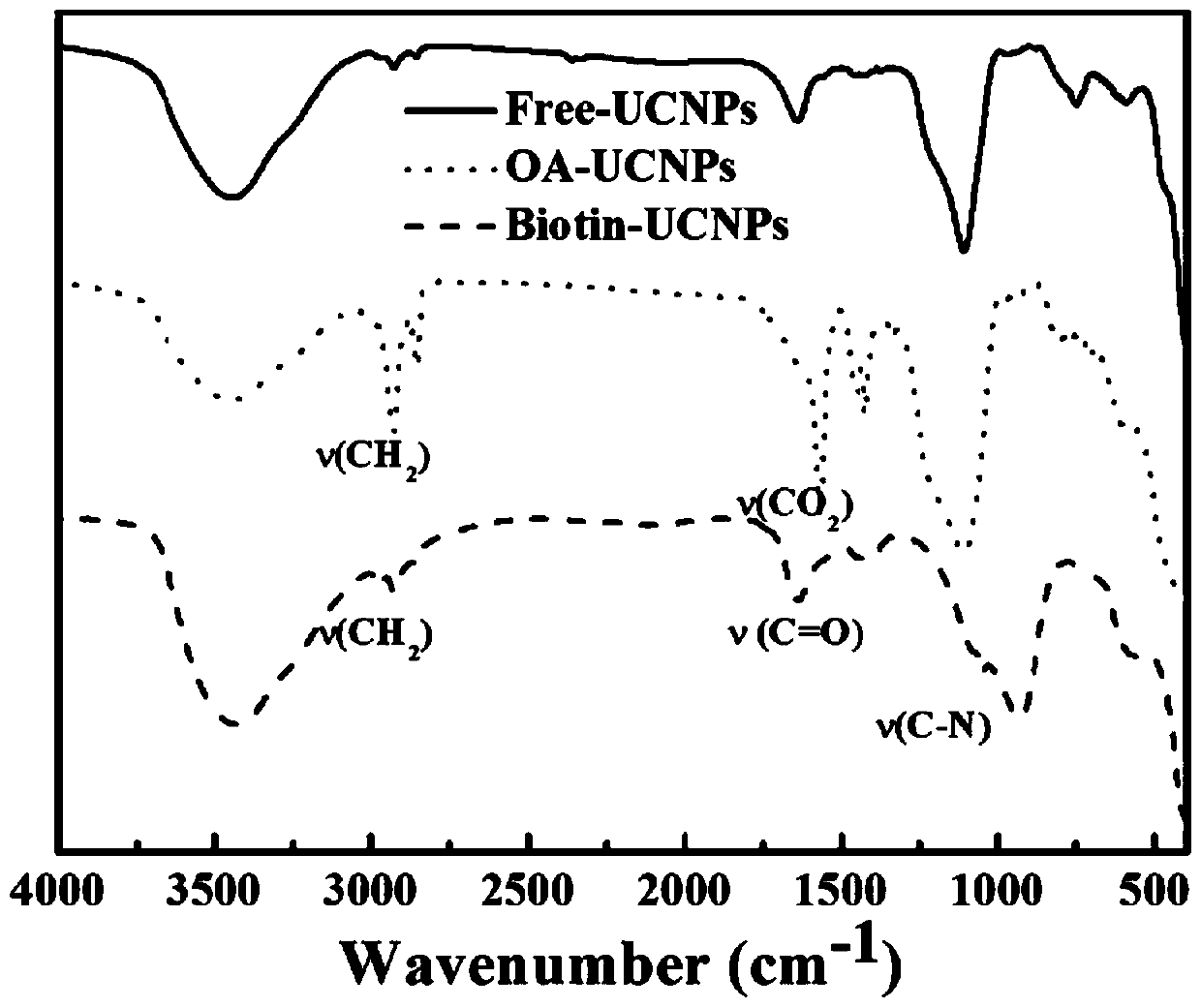 Preparation method of near-infrared light-controlled visual medicine carrier