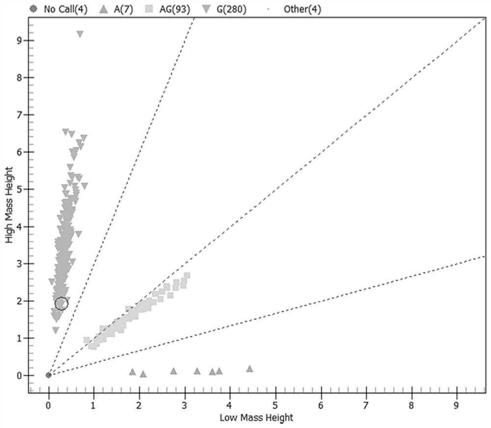 Special primer for simultaneously and accurately detecting SNP loci of related genes of 'slap-induced deafness' and ' injection-induced deafness'