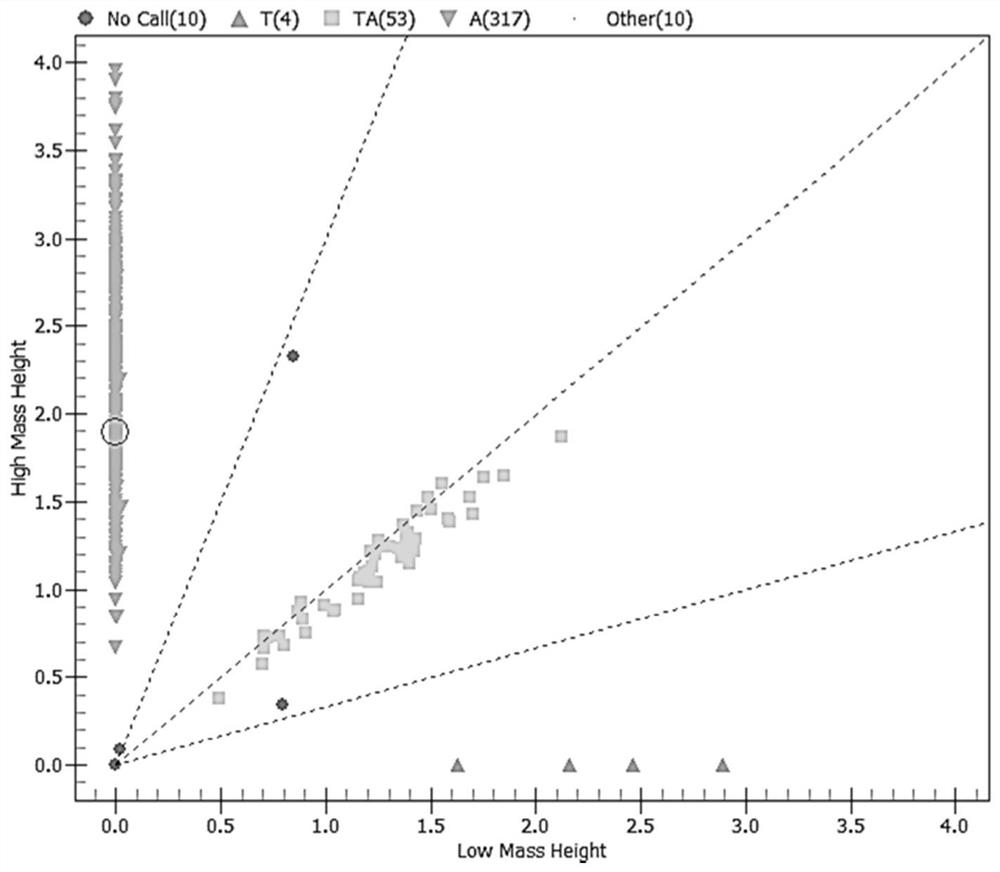 Special primer for simultaneously and accurately detecting SNP loci of related genes of 'slap-induced deafness' and ' injection-induced deafness'