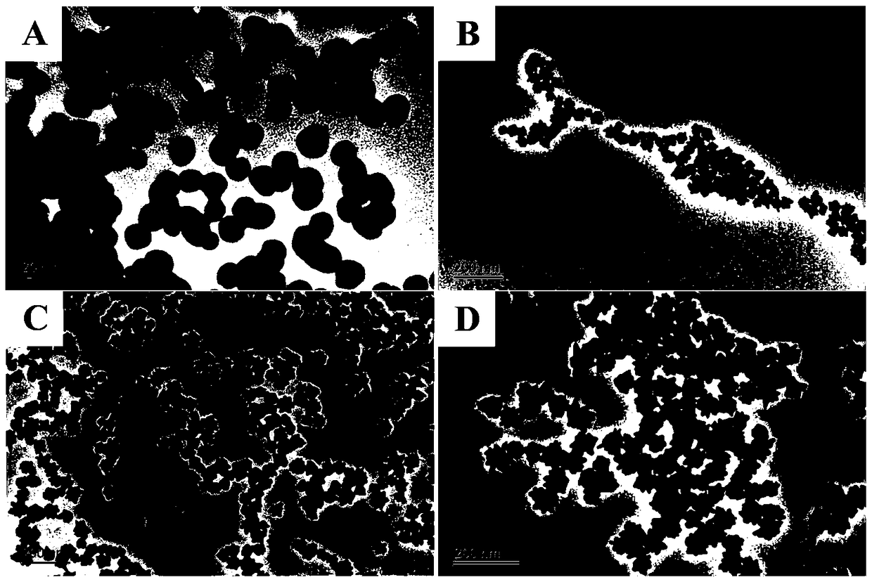Preparation method of multi-dendritic colloidal gold nanoparticles with controllable particle size and high light absorption intensity