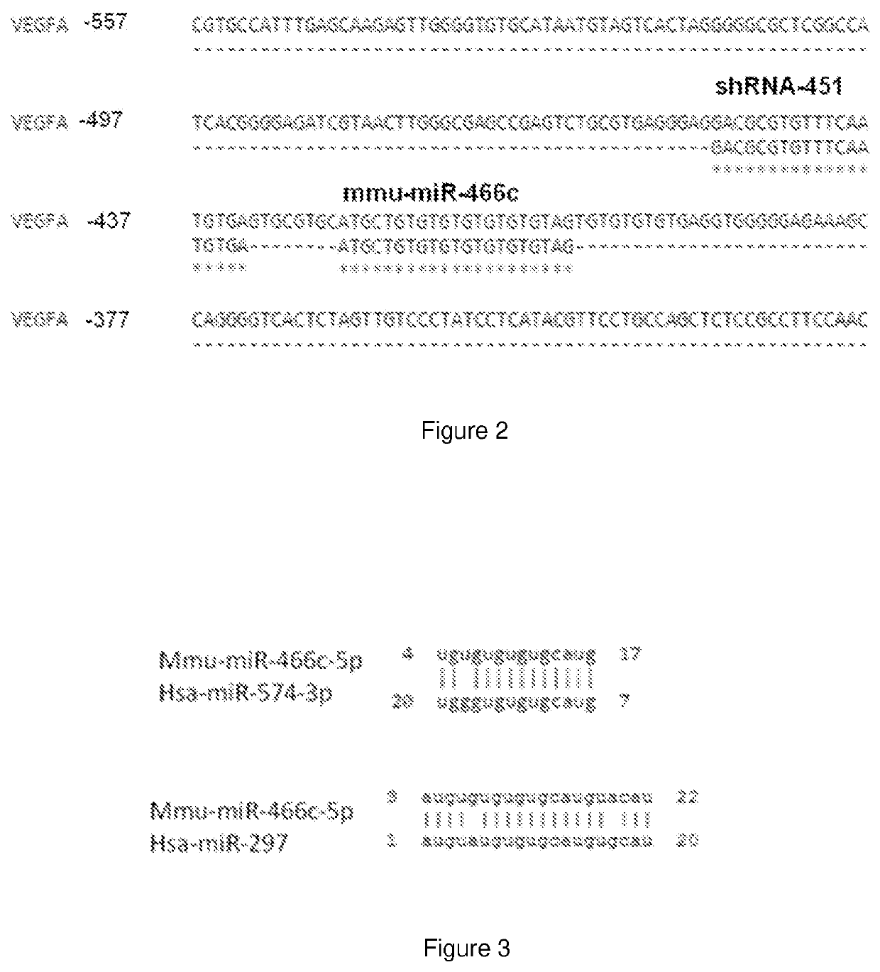 Synthetic microrna mimics