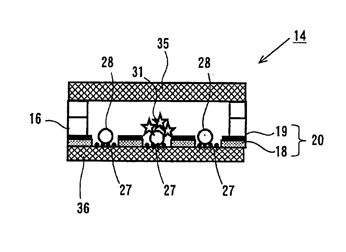 Structure for particle immobilization and apparatus for particle analysis