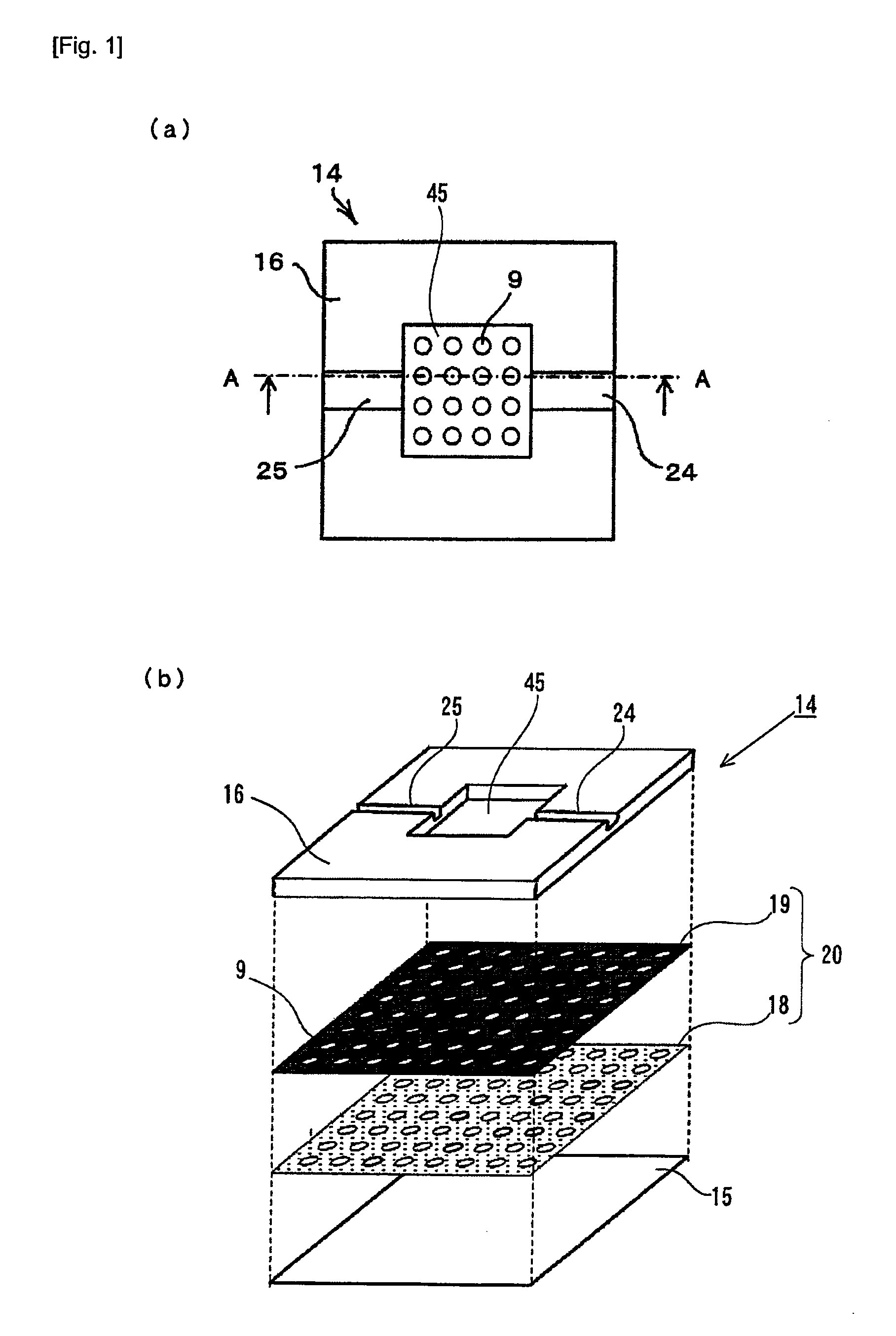 Structure for particle immobilization and apparatus for particle analysis