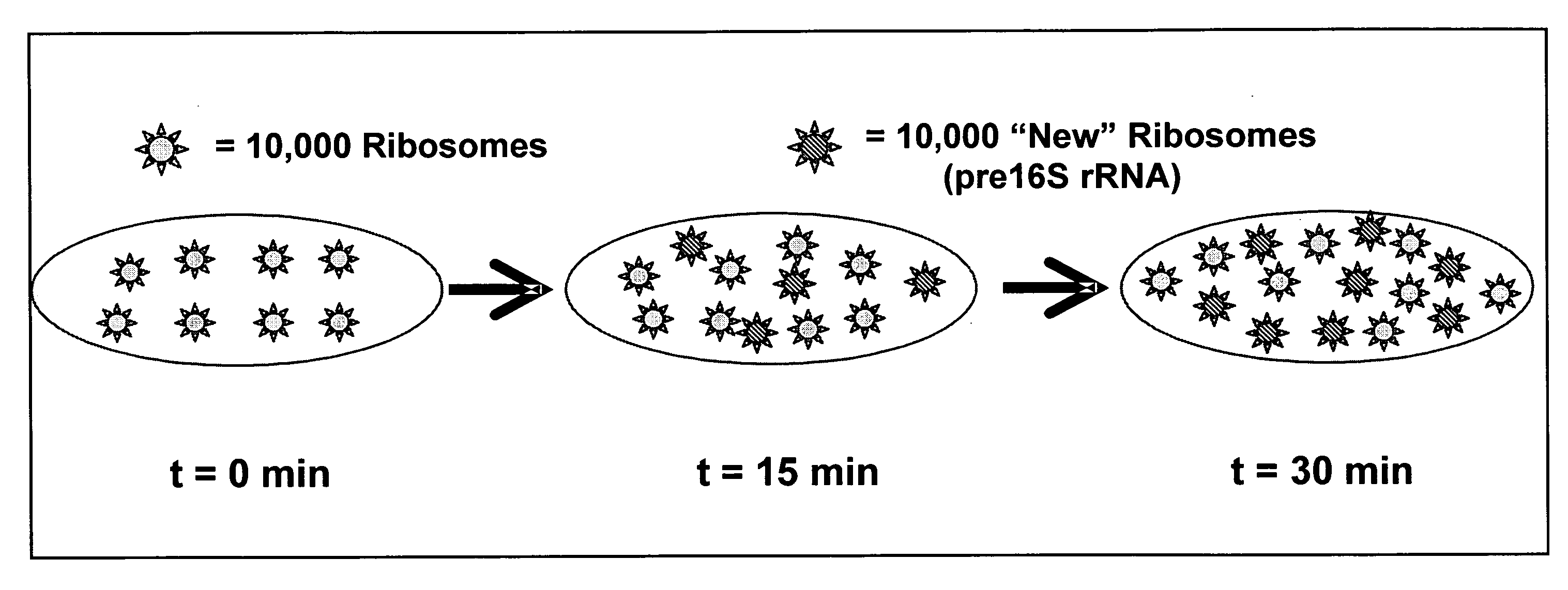 Method for determining the specific growth rate of distinct microbial populations in a non-homogeneous system