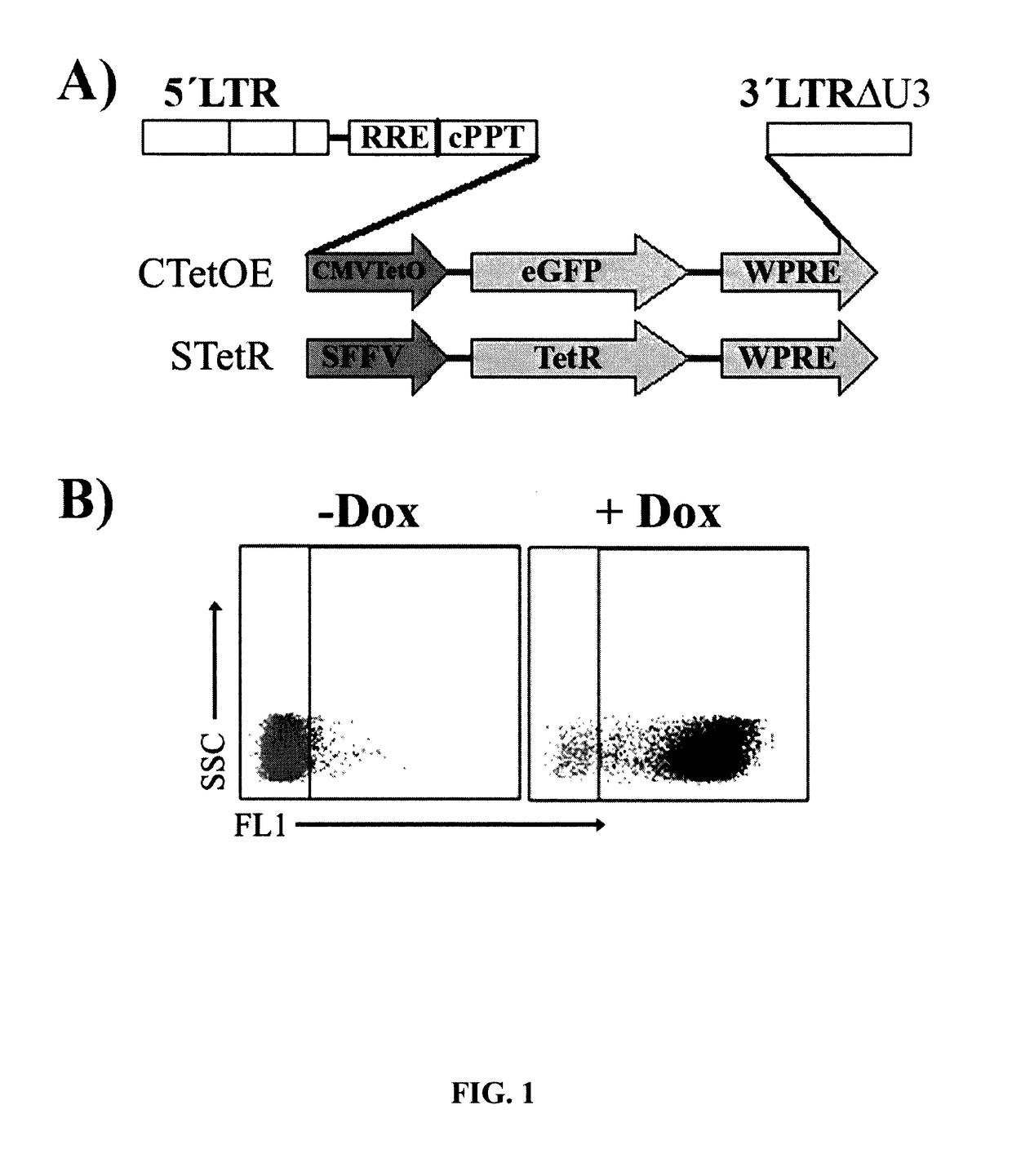 Highly inducible dual-promoter lentiviral TET-ON system