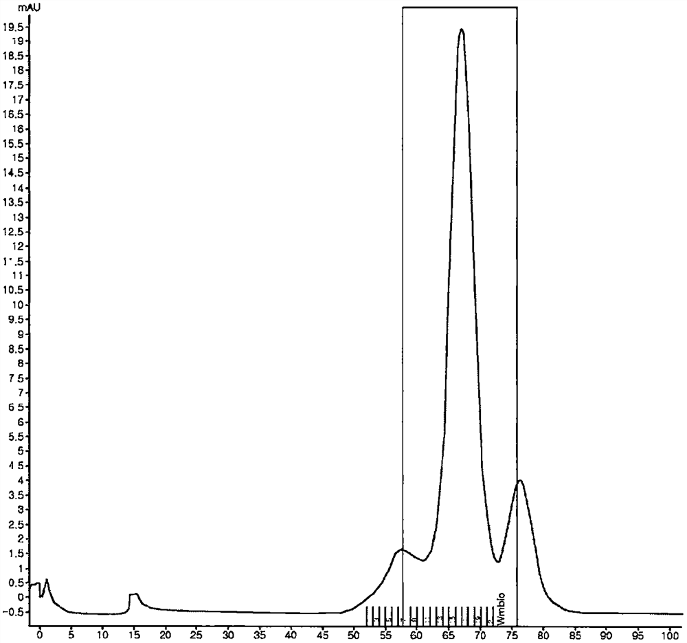 Bispecific antibody specifically binding to gpnmb and cd3, and use thereof