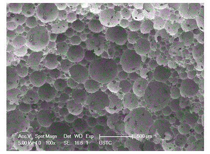 Preparation method of fly ash based porous thermal insulation material with low thermal conductivity