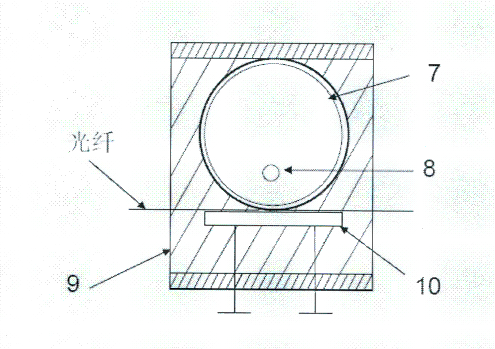 All-fiber-pulse balanced homodyne detection apparatus