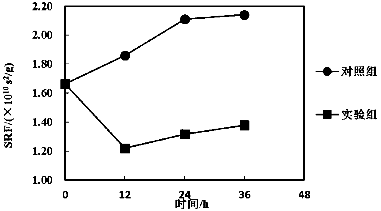 A Phage Bacteria and Its Application in Sludge Reduction