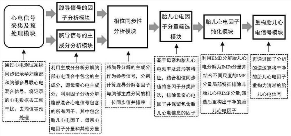 Multi-lead fetal electrocardiogram extraction device based on factor synchronism analysis