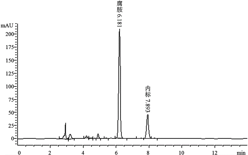 HPLC (high performance liquid chromatography) detection method for content of polyamines in follicular granular cells of goose and application of HPLC detection method