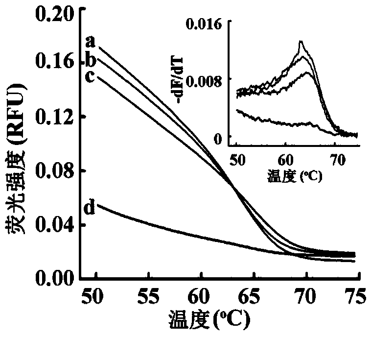 A small RNA detection kit and quantitative method based on unbiased recognition and constant temperature amplification