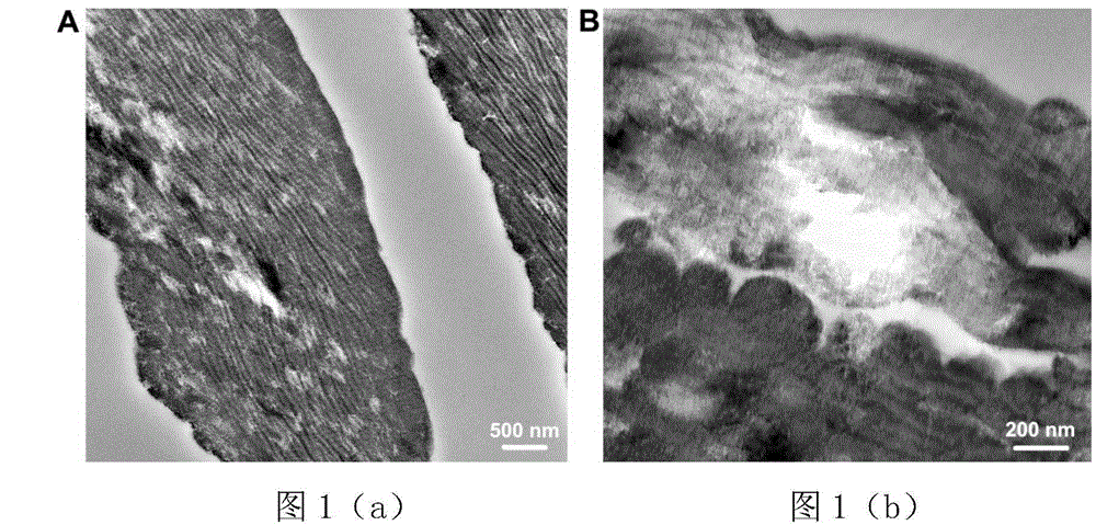Construction method and applications of antibacterial bionic silicification collagen scaffold material
